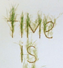 time